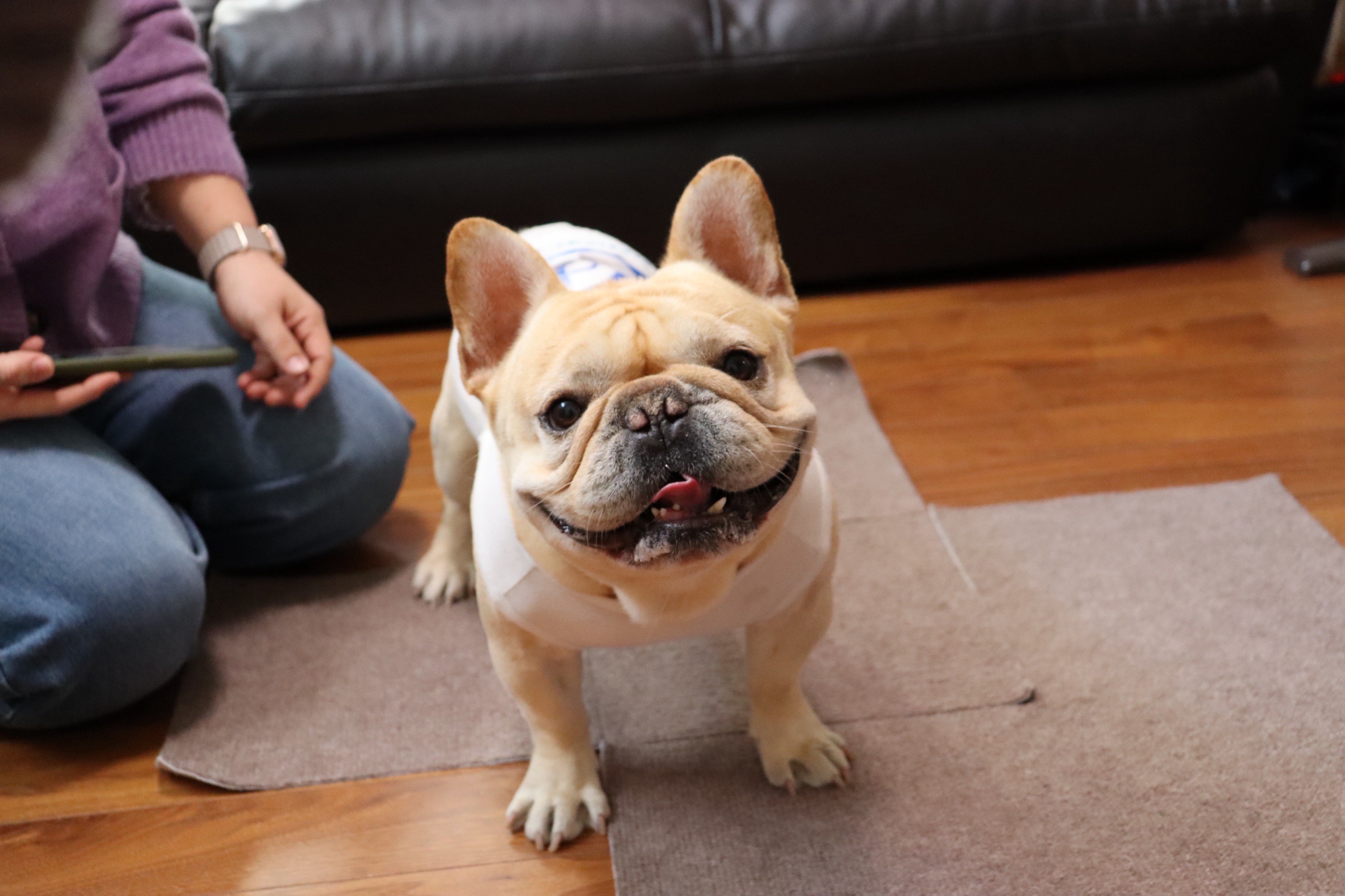 LINE_ALBUM_小太郎くん🐾_260304_18