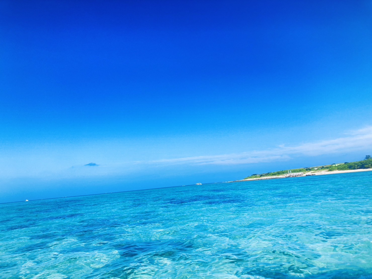 LINE_ALBUM_沖縄🌺_260309_17