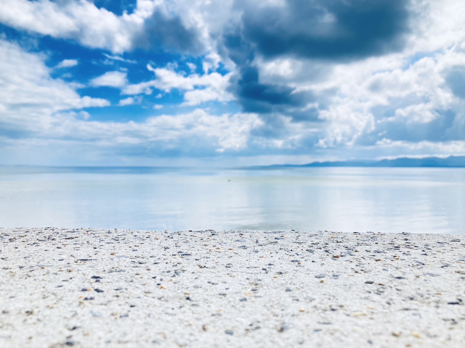 LINE_ALBUM_沖縄🌺_260309_32